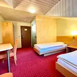 Bier & Erlebnis Hotel Des Alpes Hotel 3*