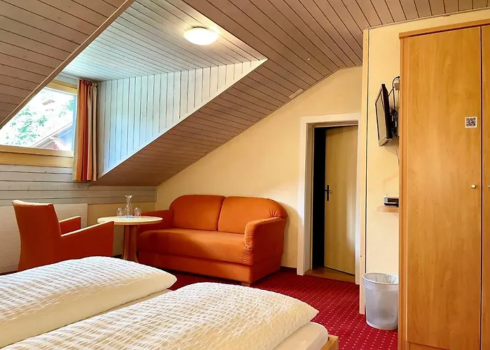 Отель Bier & Erlebnis Hotel Des Alpes 3*