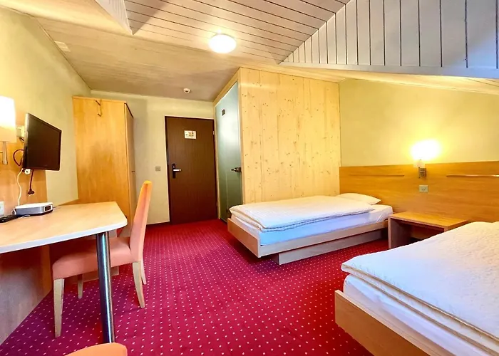 Bier & Erlebnis Hotel Des Alpes Hotell 3*