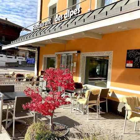 阿尔卑斯酒店 酒店 3*